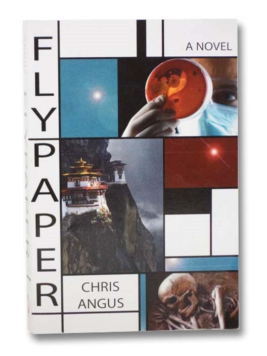 Item #2286485 Flypaper: A Novel. Chris Angus.