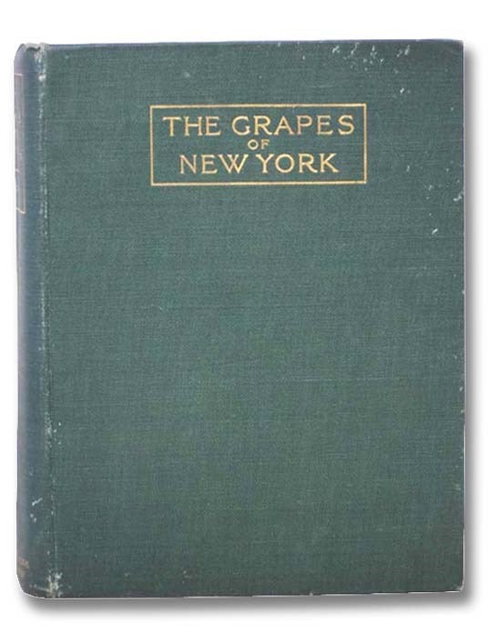 Item #2295564 The Grapes of New York (Report of the New York Agricultural Experiment Station for the Year 1907, Volume II) (State of New York - Department of Agriculture Fifteen Annual Report, Vol. 3, Part II). U. P. Hedrick, N. O. Booth, O. M. Taylor, R. Wellington, M. J. Dorsey.