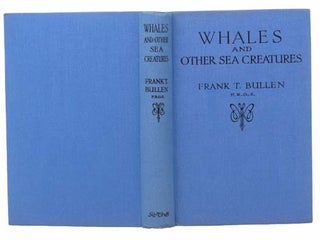 Stories of Whales and Other Sea Creatures