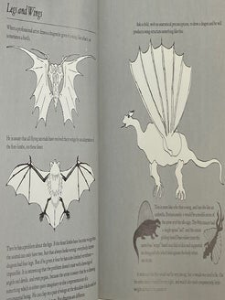 The Flight of Dragons