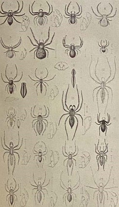 The Spiders of the United States. A Collection of the Arachnological Writings of Nicholas Marcellus Hentz, M.D. (Occasional Papers of the Boston Society of Natural History. II [2])