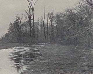 The Beech Woods: How the Neighbour Learned the Many Secrets of a Canadian Woods