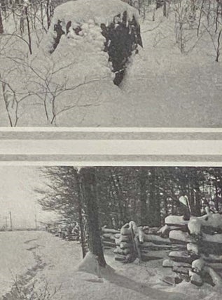 The Beech Woods: How the Neighbour Learned the Many Secrets of a Canadian Woods