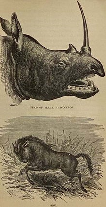 The Life and Labors of David Livingstone, LL.D., D.C.L., Covering His Entire Career in Southern and Central Africa. Carefully Prepared from the Most Authentic Sources, viz.: His Own Two Large Volumes, "South Africa," and "The Zambesi Expedition," His "Last Journals" (Edited by Horace Waller), the Reports of the London Geographical Society, the Works of His Contemporaries, and Various Other Writings Bearing Upon the Subject, a Thrilling Narrative of the Adventure, Discoveries, Experiences and Achievements of the Greatest Explorer of Modern Times in a Wild and Wonderful Country...