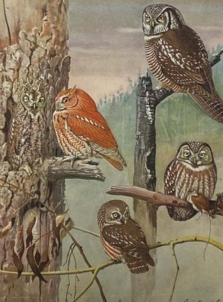 Birds of Massachusetts and Other New England States, in Three Volumes: Part I. Water Birds, Marsh Birds and Shore Birds; Part II. Land Birds from Bob-Whites to Grackles; Part III. Land Birds from Sparrows to Thrushes (Massachusetts Department of Agriculture)