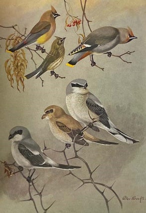 Birds of Massachusetts and Other New England States, in Three Volumes: Part I. Water Birds, Marsh Birds and Shore Birds; Part II. Land Birds from Bob-Whites to Grackles; Part III. Land Birds from Sparrows to Thrushes (Massachusetts Department of Agriculture)