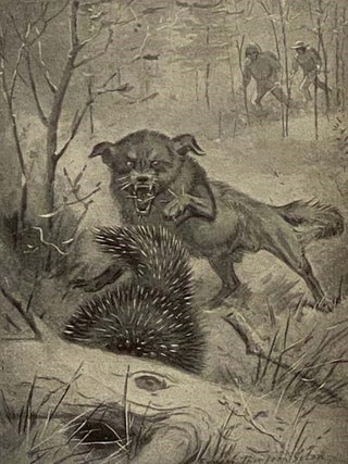 The Library of Pioneering and Woodcraft, in Six Volumes: Vol. I. Rolf in the Woods: The Adventures of a Boy Scout with Indian Quonab and Little Dog Skookum; Vol. II. Wild Animal Ways; Vol. III. Two Little Savages: Being the Adventures of Two Boys Who Lived as Indians and What They Learned; Vol. IV. The Book of Woodcraft and Indian Lore; Vol. V. Woodland Tales; Vol. VI. Wild Animals at Home