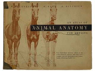Item #2327154 An Atlas of Animal Anatomy for Artists. W. Ellenberger, H. Baum, H. Dittrich,...