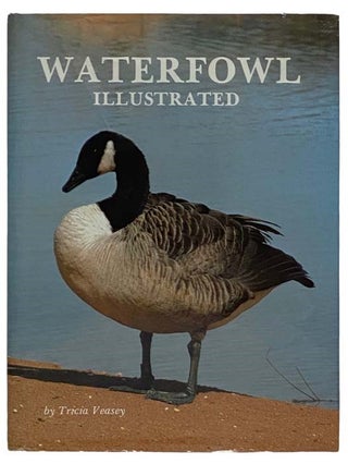 Item #2327399 Waterfowl Illustrated. Tricia Veasey