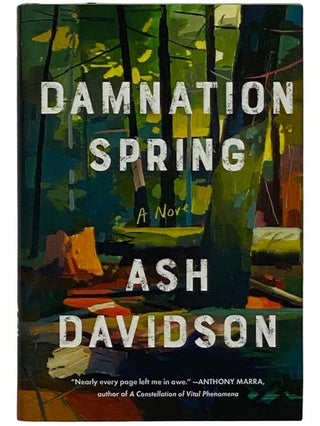 Item #2327544 Damnation Spring: A Novel. Ash Davidson