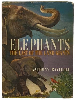 Item #2330894 Elephants: The Last of the Land Giants. Anthony Ravielli