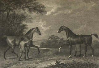 The History and Delineation of the Horse, in All Its Varieties. Comprehending the Appropriate Uses, Management, and Progressive Improvement of Each; with a Particular Investigation of the Character of the Race-Horse, and the Business of the Turf. Illustrated by Anecdotes and Biographical Notices of Distinguished Sportsmen. The Engravings from Original Paintings. With Illustrations for Breeding, Breaking, Training, and the General Management of the Horse, Both in a State of Health and of Disease