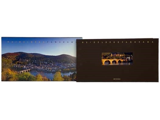 Item #2332336 Heidelberg Panorama. Carmen S. Freihaut.