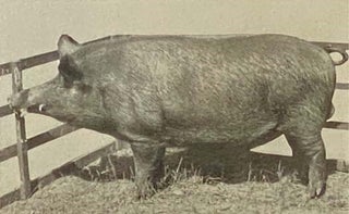 The Hog Book: Emodying the Experience of Fifty Years in the Practical Handling of Swine in the American Cornbelt