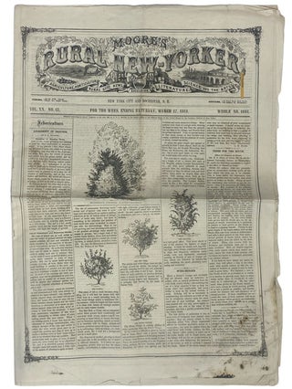 Item #2340093 Moore's Rural New-Yorker, Saturday, March 27, 1869, Vol. XX, No. 13, Whole No. 1001