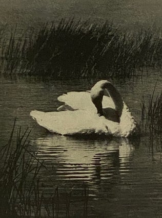 The Audubon Guide to Attracting Birds