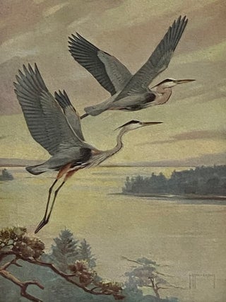 The Audubon Guide to Attracting Birds