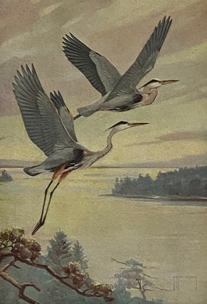 The Audubon Guide to Attracting Birds