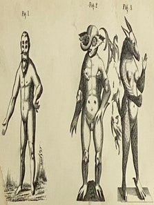 Transactions of the Medical Society of the State of New York, for the Year 1865.