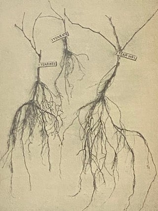 American Grape Training: An Account of the Leading Forms Now in Use of Training the American Grapes.