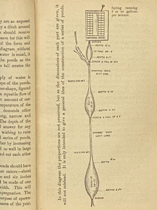 Fish Hatching, and Fish Catching.
