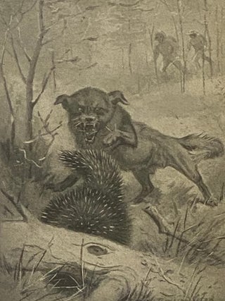 Rolf in the Woods: The Adventures of a Boy Scout with Indian Quonab and Little Dog Skookum