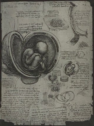 The Notebooks of Leonardo Da Vinci: Definitive Edition in One Volume