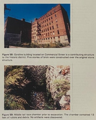 Triphammer Forge: Archaeological Documentation and Historic Resource Survey, Brown's Race Historic District, City of Rochester, New York - Final Report Prepared for The New York State Office of Parks, Recreation and Historic Preservation