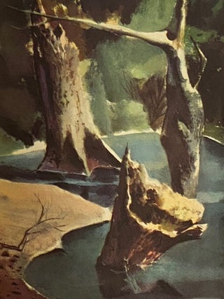 The Jungle Books Volumes 1 & 2