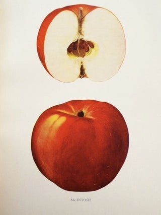 The Apples of New York, Report of the New York Agricultural Experiment Station for the Year 1903, in Two Volumes