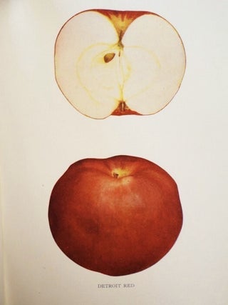 The Apples of New York, Report of the New York Agricultural Experiment Station for the Year 1903, in Two Volumes