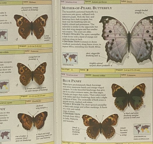 Butterflies and Moths: The Visual Guide to over 500 Species of