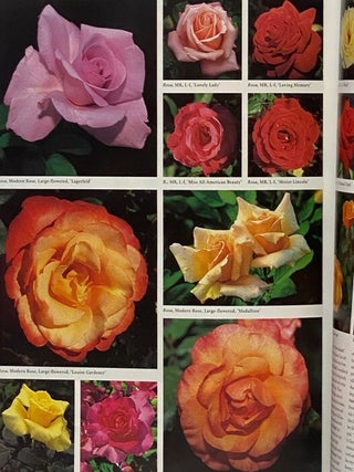 Trees and Shrubs: Illustrated A-Z of Over 8500 Plants
