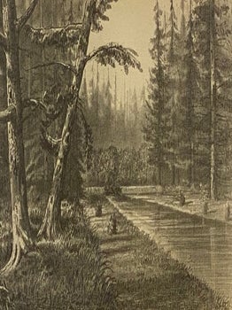 The American Beaver and His Works.