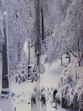Mount Auburn Cemetery: Beauty on the Edge of Eternity