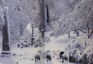 Mount Auburn Cemetery: Beauty on the Edge of Eternity