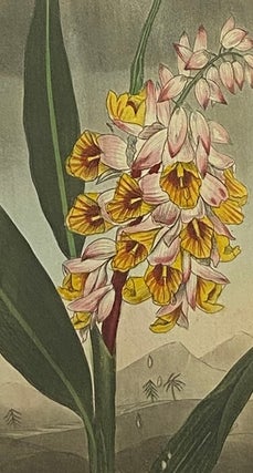 An Easy Introduction to the Science of Botany, through the Medium of Familiar Conversations between a Father and His Son.