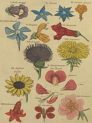 An Easy Introduction to the Science of Botany, through the Medium of Familiar Conversations between a Father and His Son.