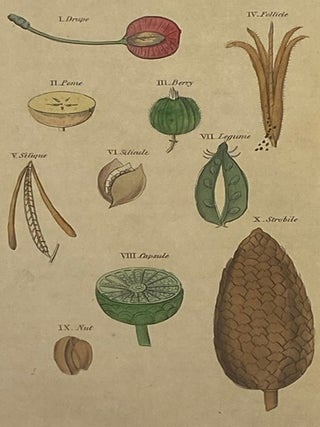 An Easy Introduction to the Science of Botany, through the Medium of Familiar Conversations between a Father and His Son.