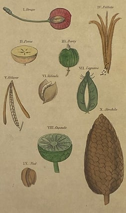 An Easy Introduction to the Science of Botany, through the Medium of Familiar Conversations between a Father and His Son.